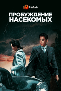 Пробуждение насекомых Пробуждение насекомых